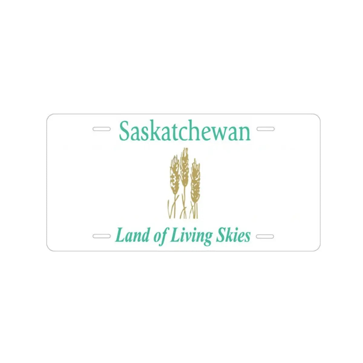 Custom Kids’ Ride-On Car License Plate