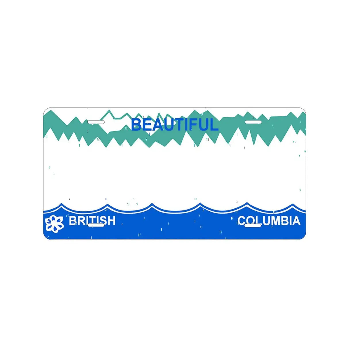 Custom Kids’ Ride-On Car License Plate