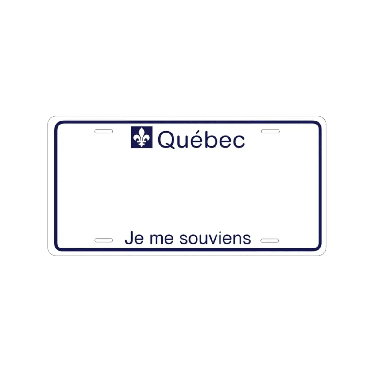 Custom Kids’ Ride-On Car License Plate